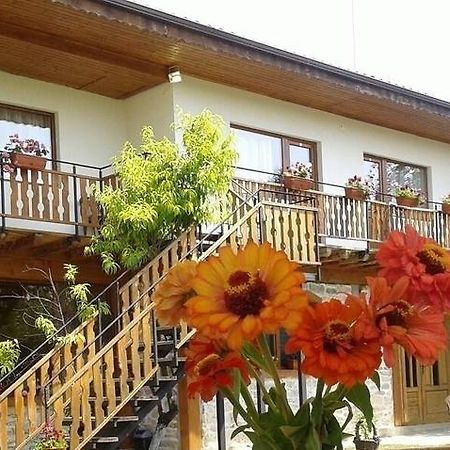 Guest House Friends Emen Exterior foto